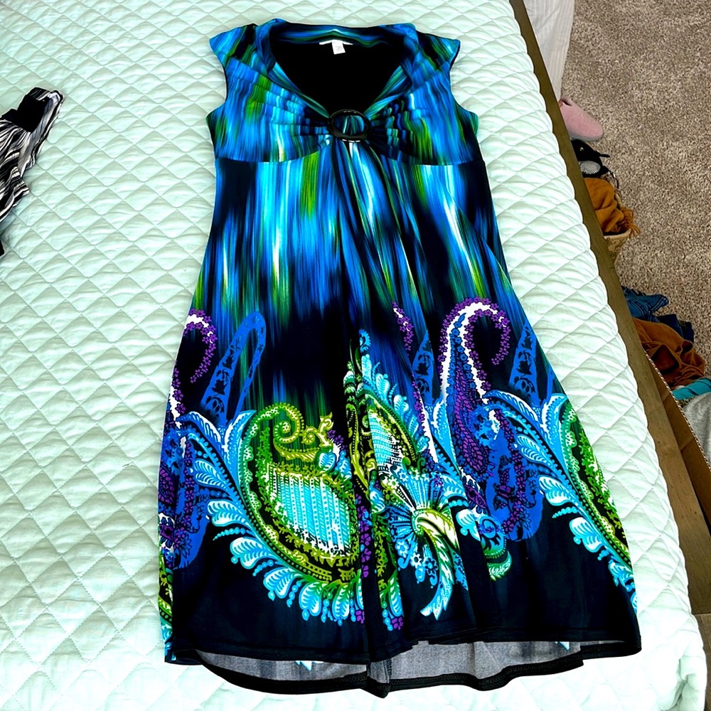 Dress barn dress